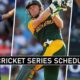 Upcoming Cricket Series
