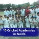 10 Cricket Academies in Noida