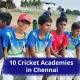 10-cricket-academies-in-chennai